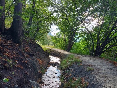 Le bisse de Réchy