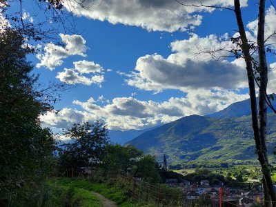 Le bisse de Réchy