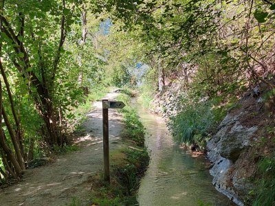 Le bisse de Ricard