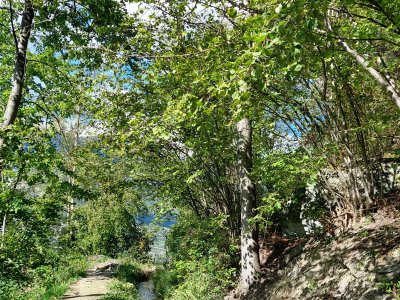 Le bisse de Ricard