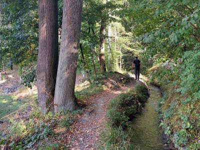 Le sentier le long du bisse