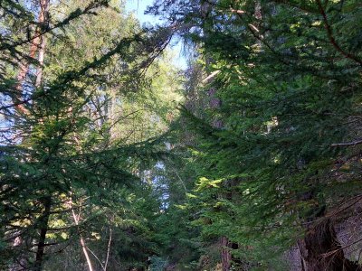 Le bisse de Briey