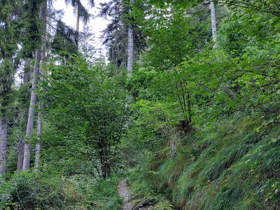En longeant le bisse de Briey