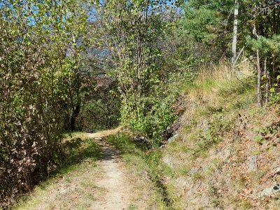 Le bisse (à sec ce jour-là)