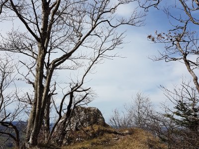 Point du vue