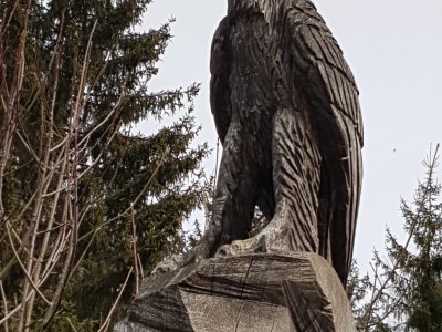 <p><span style="color: rgb(31, 31, 31); font-family: "Google Sans Text", "Google Sans", Roboto, Arial, sans-serif; font-size: 16px;">L'aigle sculpté par les bûcherons</span><br></p>
