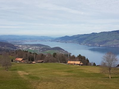 <p><span style="color: rgb(31, 31, 31); font-family: "Google Sans Text", "Google Sans", Roboto, Arial, sans-serif; font-size: 16px;">Lac de Thoune</span><br></p>