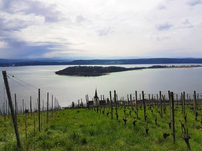 <p>Vinelz, l'ìle St-Pierre et les Alpes</p>
