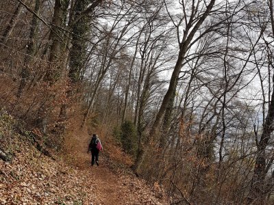 Sentier facile