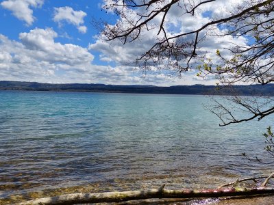 Au bord du lac de Neuchâtel