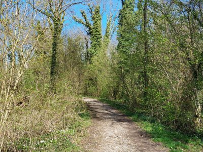Le chemin caillouteux