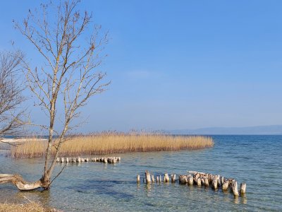 Au bord du lac de Neuchâtel