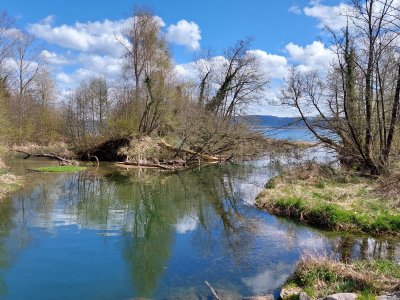 Vue sur l'embouchure de l'Arnon, depuis le petit pont en bois