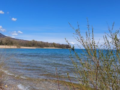 Les rives du lac