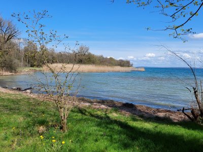 Au bord du lac de Neuchâtel