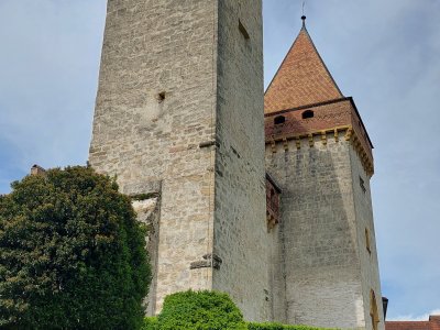 La tour, vue des jardins