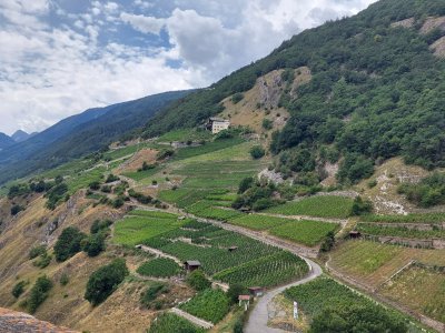 <p>Vue depuis le sommet de la tour du Château de La Bâtiaz</p>