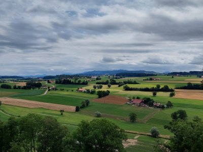 <p>Vue depuis la vieille ville de Romont</p>