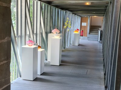 <p>Vitromusée</p>