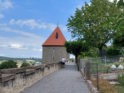 Sur les remparts de Romont