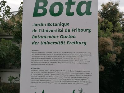 Entrée du jardin
