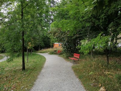 Chemin longé de bancs