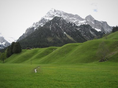 Seehore