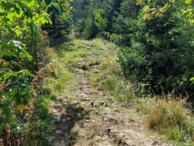 <p>Le chemin sur la crête</p>