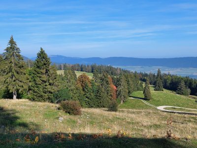 <p>Sur le chemin du retour</p>