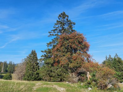 <p>Le chemin du retour</p>