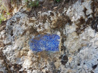 Marque bleue