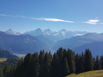 Panorama en arrivant à Unterburgfeld Schreckhorn, Eiger, Mönch, Jungfrau