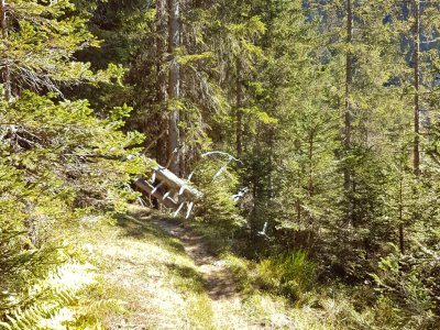 Le sentier