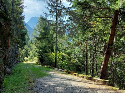 En début de parcours