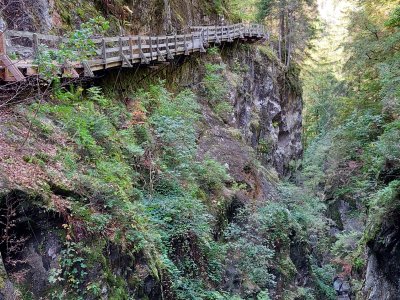 La passerelle en bois
