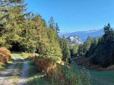 Sur le chemin du retour