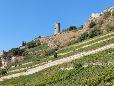 Le donjon Bayart