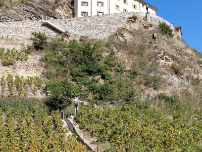 Le bourg de Saillon