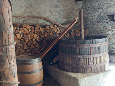 Saillon, un bourg au cur du vignoble