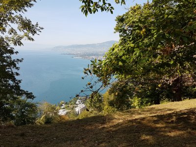Le Léman depuis la Châtaigneraie de Veytaux