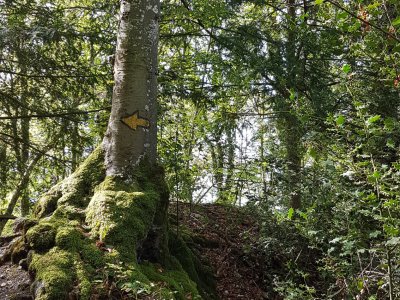 Près de l'Aveyre