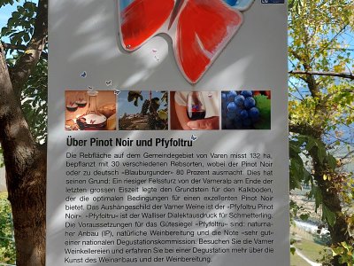 Mais au fait, c'est quoi le Pfyfoltru?