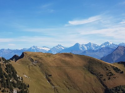 Schreckhorn Eiger Mönch Jungfrau vus du Stockhorn