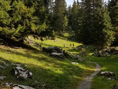 Montée vers le Berggasthaus Oberstocknalp
