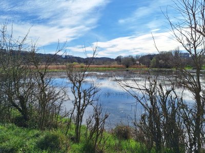 <p>Marais d'Auried</p>