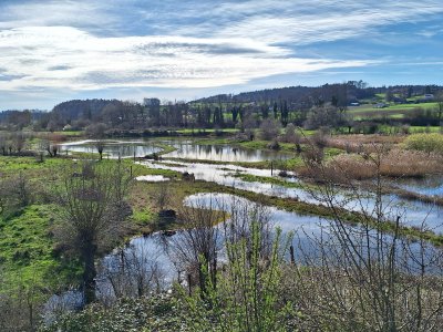 <p>Marais d'Auried</p>
