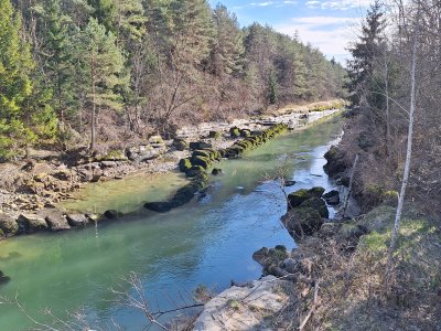 <p>La Sarine</p>