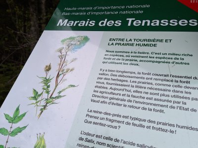 Panneau explicatif