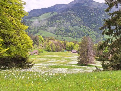 Bientôt à Lally