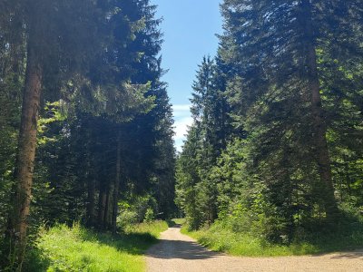 Le chemin du retour